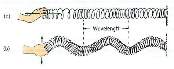 waves-quiz