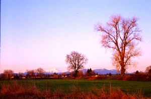 347.jpg