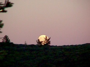 MOONRISE.JPG