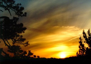 SUNST104.JPG